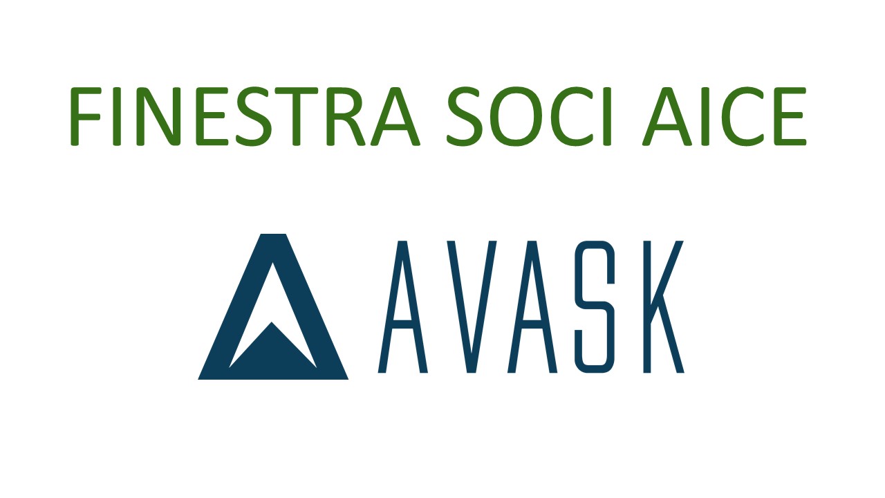 AVASK LTD