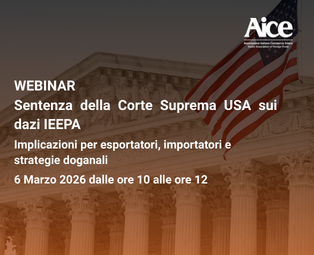 primi paini webinar  (1)