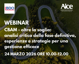 primi paini webinar  (3)