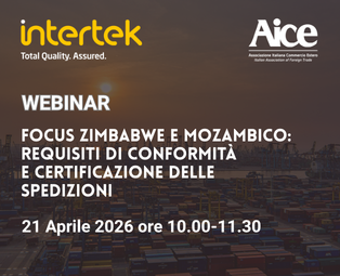 primi paini webinar  (33)