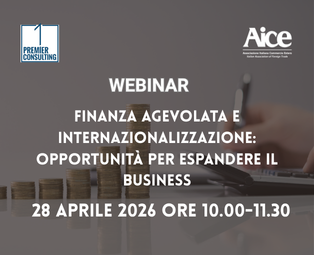 primi paini webinar  (35)