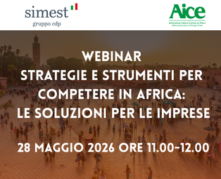 primi paini webinar  (71)