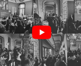 primi paini webinar  (9)