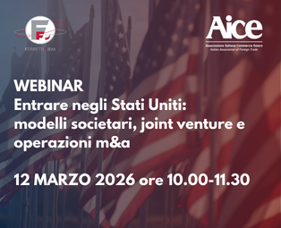 primi piani webinar (19)